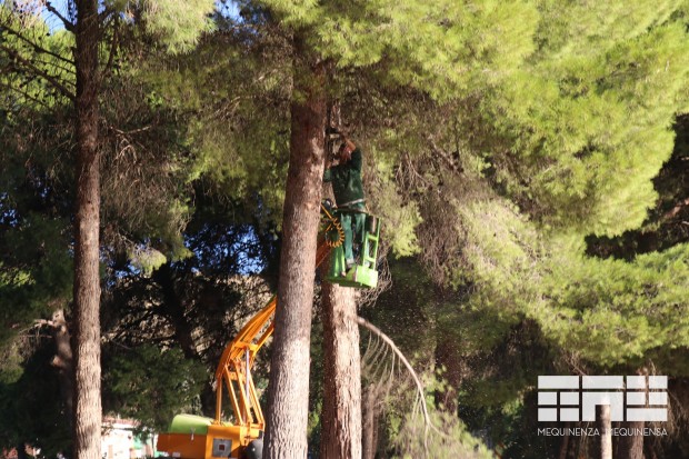 Tareas saneamiento pinos